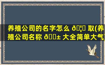 养殖公司的名字怎么 🦍 取(养殖公司名称 🐱 大全简单大气)
